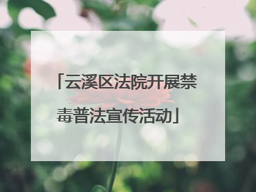 云溪区法院开展禁毒普法宣传活动