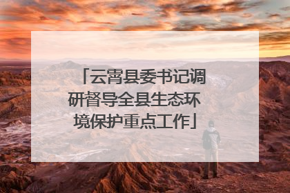 云霄县委书记调研督导全县生态环境保护重点工作