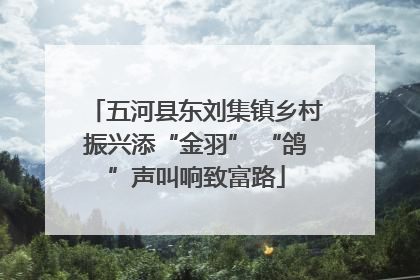 五河县东刘集镇乡村振兴添“金羽” “鸽”声叫响致富路