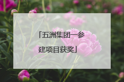 五洲集团一参建项目获奖