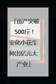 亩产突破500斤！安化小花生种出亿元大产业