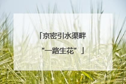 京密引水渠畔“一路生花”