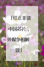 任正非谈中国芯片，外媒争相解读
