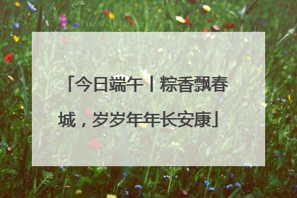 今日端午丨粽香飘春城，岁岁年年长安康