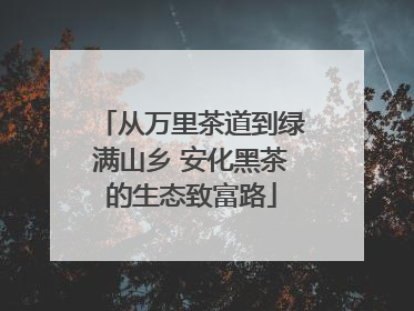 从万里茶道到绿满山乡 安化黑茶的生态致富路