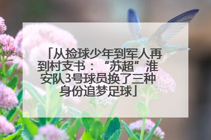 从捡球少年到军人再到村支书：“苏超”淮安队3号球员换了三种身份追梦足球
