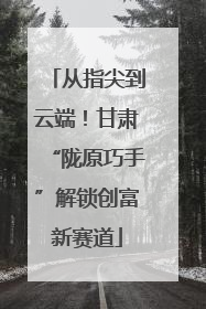 从指尖到云端！甘肃“陇原巧手”解锁创富新赛道
