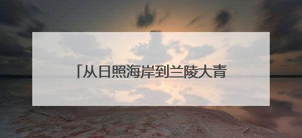 从日照海岸到兰陵大青山，他将海关人的严谨与担当带到荒坡田间，“国门卫士”刘磊——让艾草长成“生钱草”