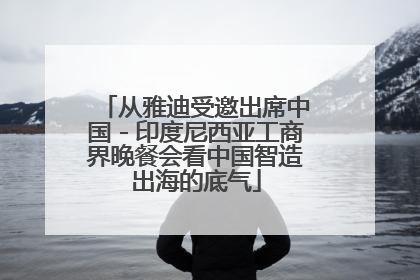 从雅迪受邀出席中国－印度尼西亚工商界晚餐会看中国智造出海的底气