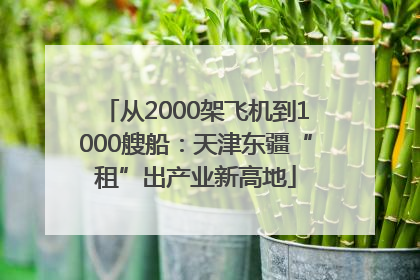 从2000架飞机到1000艘船：天津东疆“租”出产业新高地
