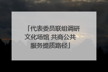 代表委员联组调研文化场馆 共商公共服务提质路径
