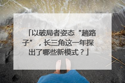 以破局者姿态“趟路子”，长三角这一年探出了哪些新模式？