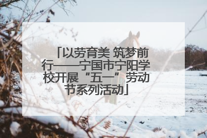 以劳育美 筑梦前行——宁国市宁阳学校开展“五一”劳动节系列活动