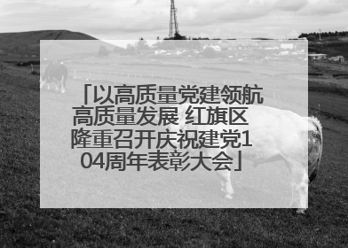 以高质量党建领航高质量发展 红旗区隆重召开庆祝建党104周年表彰大会