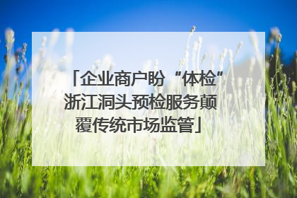 企业商户盼“体检” 浙江洞头预检服务颠覆传统市场监管