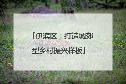 伊滨区：打造城郊型乡村振兴样板