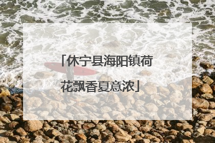 休宁县海阳镇荷花飘香夏意浓
