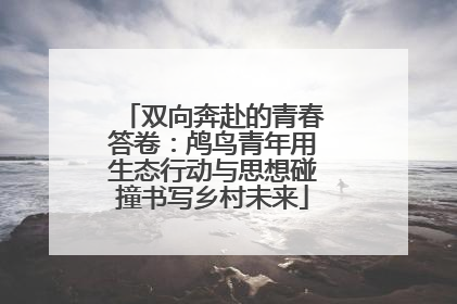 双向奔赴的青春答卷：鸬鸟青年用生态行动与思想碰撞书写乡村未来