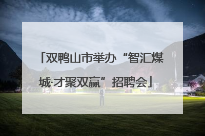 双鸭山市举办“智汇煤城·才聚双赢”招聘会