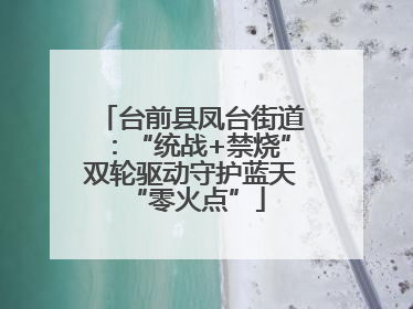 台前县凤台街道：“统战+禁烧”双轮驱动守护蓝天 “零火点”