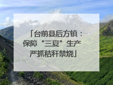 台前县后方镇：保障“三夏”生产 严抓秸秆禁烧
