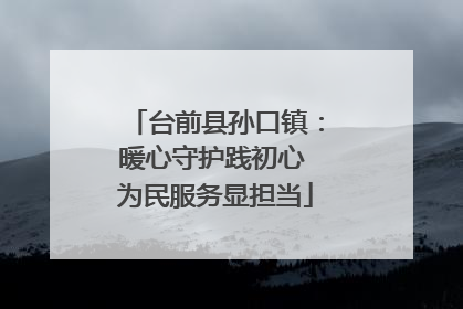 台前县孙口镇：暖心守护践初心 为民服务显担当