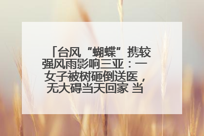 台风“蝴蝶”携较强风雨影响三亚：一女子被树砸倒送医，无大碍当天回家 当地已紧急清障