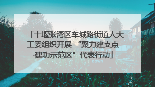 十堰张湾区车城路街道人大工委组织开展 “聚力建支点·建功示范区”代表行动