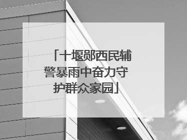 十堰郧西民辅警暴雨中奋力守护群众家园