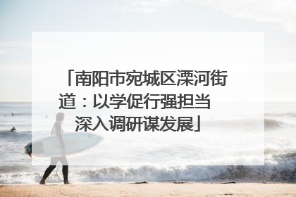 南阳市宛城区溧河街道：以学促行强担当 深入调研谋发展