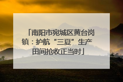 南阳市宛城区黄台岗镇：护航“三夏”生产 田间抢收正当时
