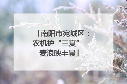 南阳市宛城区：农机护“三夏” 麦浪映丰景