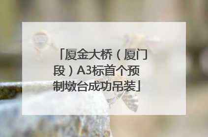 厦金大桥（厦门段）A3标首个预制墩台成功吊装