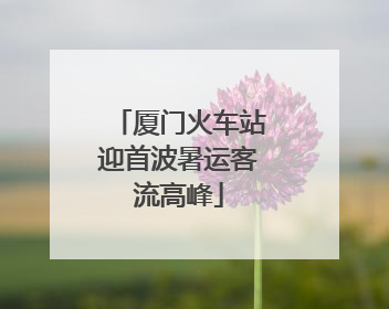 厦门火车站迎首波暑运客流高峰