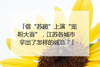 借“苏超”上演“宠粉大赛”，江苏各城市拿出了怎样的诚意？