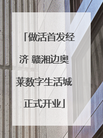 做活首发经济 赣湘边奥莱数字生活城正式开业