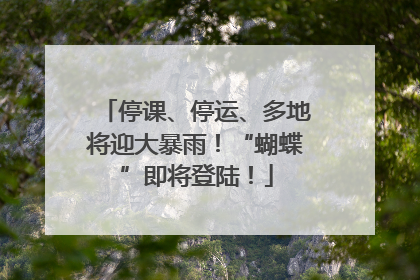 停课、停运、多地将迎大暴雨！“蝴蝶”即将登陆！