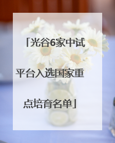 光谷6家中试平台入选国家重点培育名单