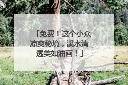 免费！这个小众凉爽秘境，溪水清透美如油画！