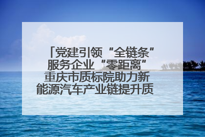 党建引领“全链条” 服务企业“零距离” 重庆市质标院助力新能源汽车产业链提升质量管理水平