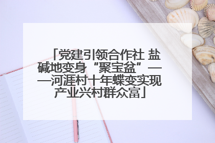 党建引领合作社 盐碱地变身“聚宝盆”——河涯村十年蝶变实现产业兴村群众富