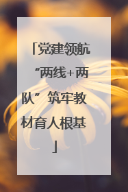 党建领航“两线+两队”筑牢教材育人根基