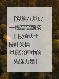 党旗在基层一线高高飘扬丨根植沃土 枝叶关情——基层治理中的先锋力量