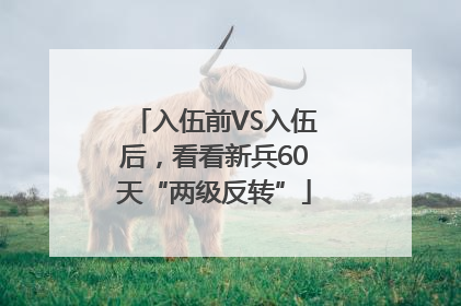 入伍前VS入伍后，看看新兵60天“两级反转”