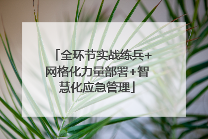 全环节实战练兵+网格化力量部署+智慧化应急管理