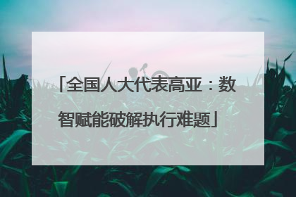 全国人大代表高亚：数智赋能破解执行难题