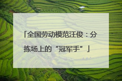 全国劳动模范汪俊：分拣场上的“冠军手”