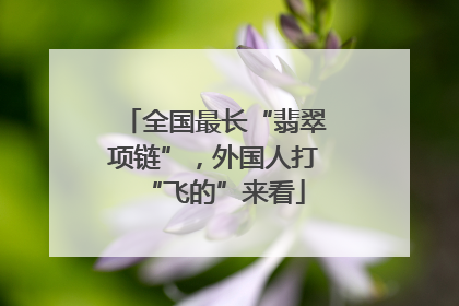 全国最长“翡翠项链”，外国人打“飞的”来看