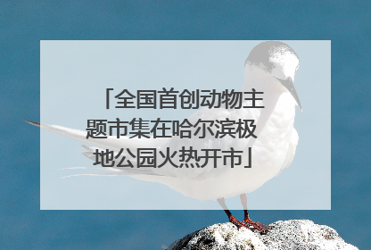 全国首创动物主题市集在哈尔滨极地公园火热开市
