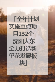 全年计划实施重点项目132个 沈阳大东全力打造新望花发展板块